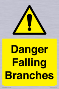 Danger Falling Branches